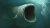 Avatar for Leviathan28
