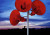 Avatar for SquareBobSpongePants
