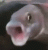 Avatar for ninj