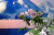 Avatar for lydmjohn