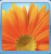 Avatar for Pifer Pafer