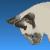 Avatar for Catamanic165