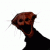 Avatar for Patero