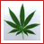 Avatar for Kurtix