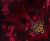 Avatar for anonymous-2300307