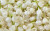 Avatar for kigetix579