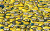 Avatar for jesse89
