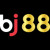 Avatar for BJ88  (bj88in)