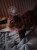 Avatar for Kubek_68