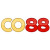 Avatar for co88live