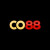 Avatar for co88fyi