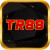Avatar for tr88itcom