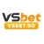 Avatar for vsbetso