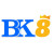 Avatar for BK8  (bk8rreisen)