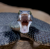 Avatar for Argam720