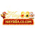 Avatar for hay88acoo
