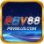 Avatar for pbv88uscom