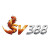 Avatar for SV388  (sv388xcom)