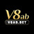 Avatar for v8abbet