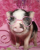 Avatar for yayayus