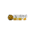 Avatar for socolivetvbio