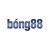 Avatar for bong88world1