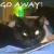 Avatar for CLR_PachiRin