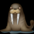 Avatar for little_rockchic