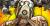 Avatar for jameschaos