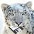 Avatar for KillBill_158